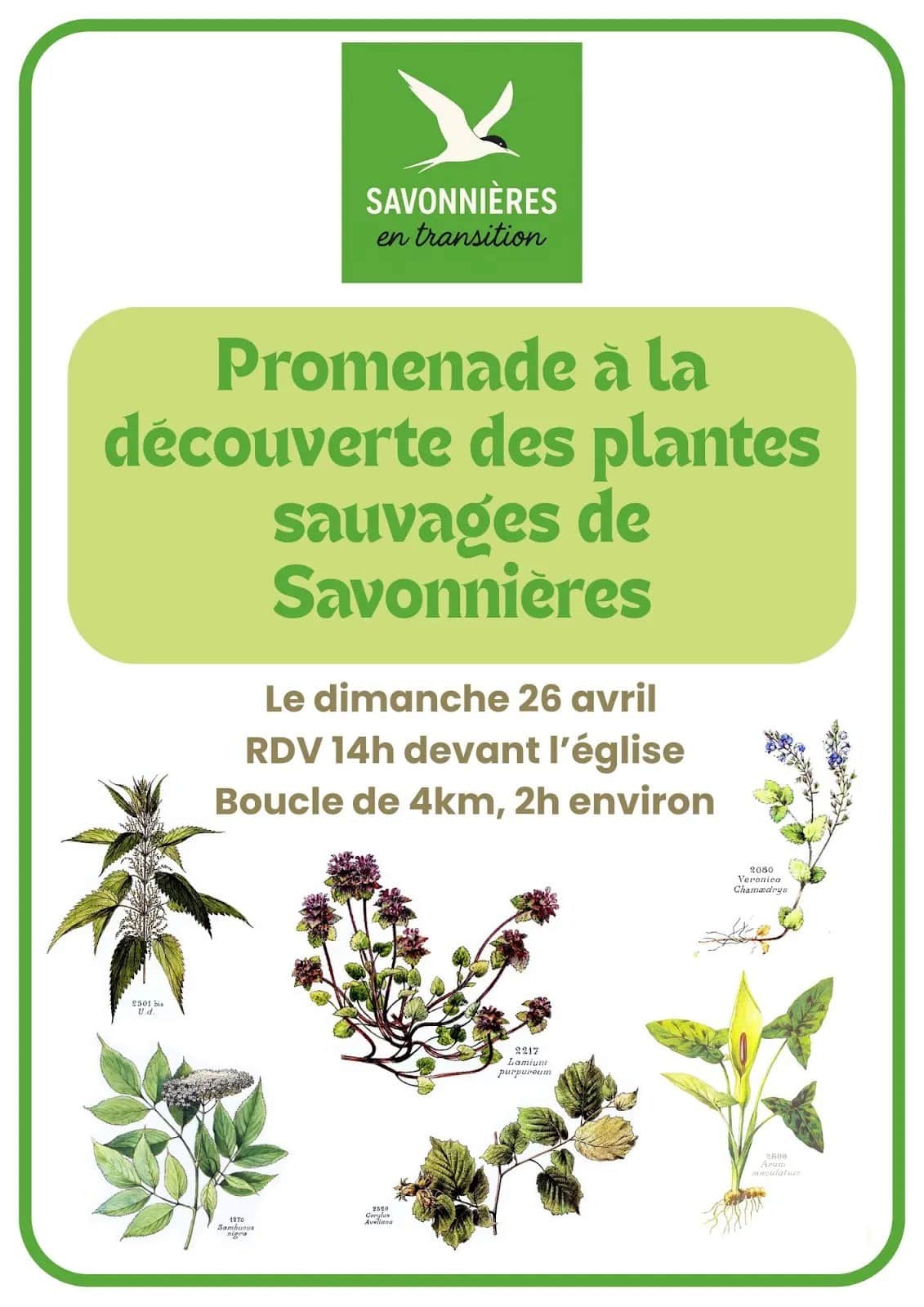 Savonnieres en transtion